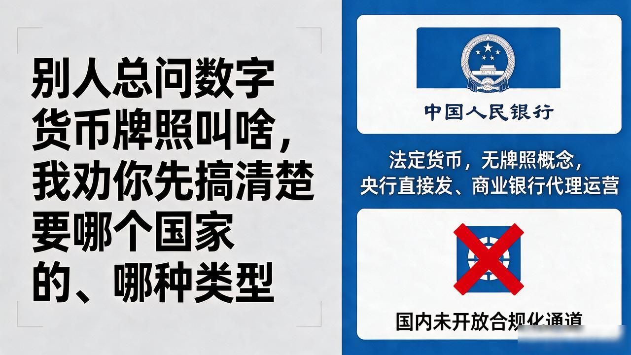 不同国家虚拟资产服务提供商资质要求_数字货币牌照申请流程_数字货币牌照叫啥